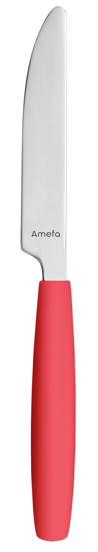 Besteckserie "Colour" cherry-rot Dessertmesser